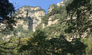 高山仰止景行行止的意思 高山仰止景行行止的意思