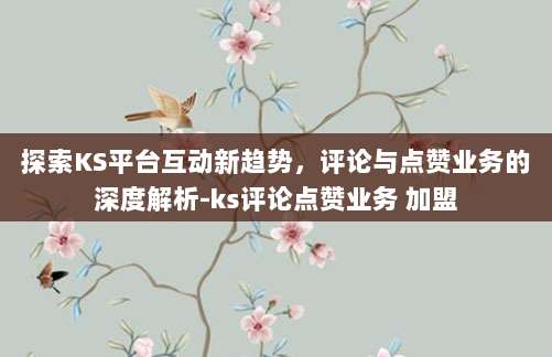 探索KS平台互动新趋势,评论与点赞业务的深度解析-ks评论点赞业务 加盟