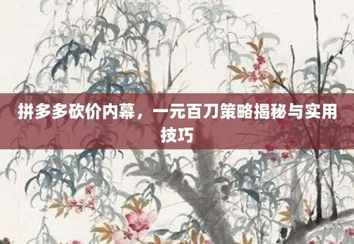 拼多多砍价内幕,一元百刀策略揭秘与实用技巧