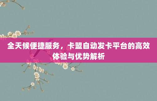 全天候便捷服务,卡盟自动发卡平台的高效体验与优势解析