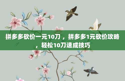 拼多多砍价一元10刀 ，拼多多1元砍价攻略，轻松10刀速成技巧