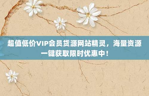 超值低价VIP会员货源网站精灵,海量资源一键获取限时优惠中!