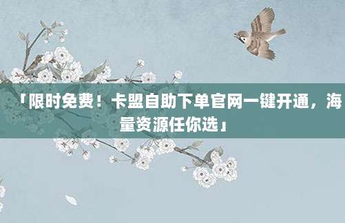 「限时免费!卡盟自助下单官网一键开通,海量资源任你选」