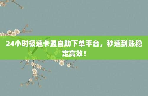 24小时极速卡盟自助下单平台,秒速到账稳定高效!