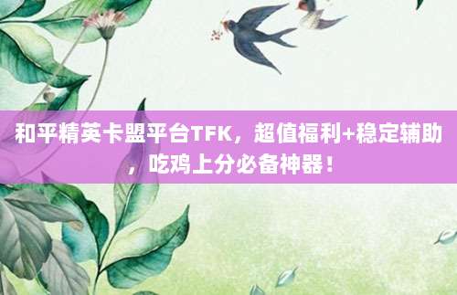 和平精英卡盟平台TFK,超值福利+稳定辅助,吃鸡上分必备神器!