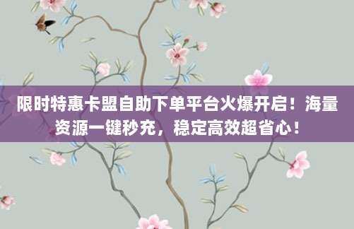 限时特惠卡盟自助下单平台火爆开启!海量资源一键秒充,稳定高效超省心!