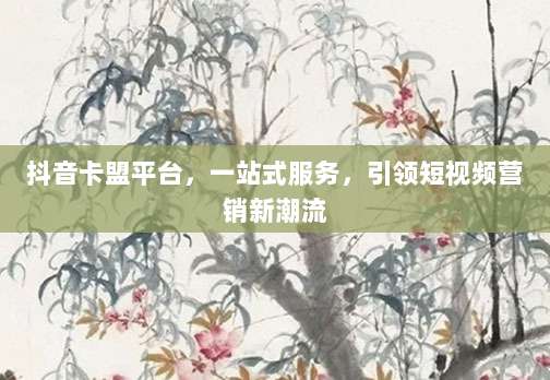 抖音卡盟平台,一站式服务,引领短视频营销新潮流