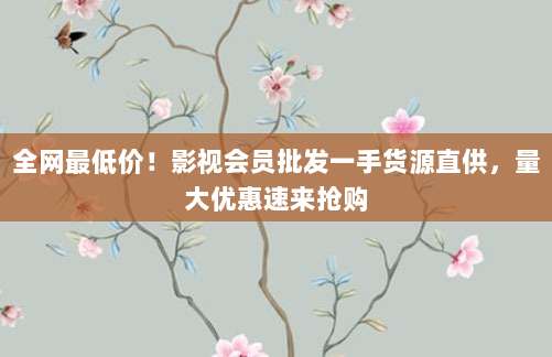 全网最低价!影视会员批发一手货源直供,量大优惠速来抢购
