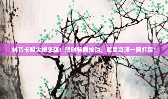 抖音卡盟火爆来袭!限时特惠抢购,海量资源一网打尽!