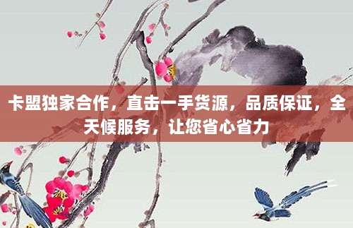 卡盟独家合作,直击一手货源,品质保证,全天候服务,让您省心省力