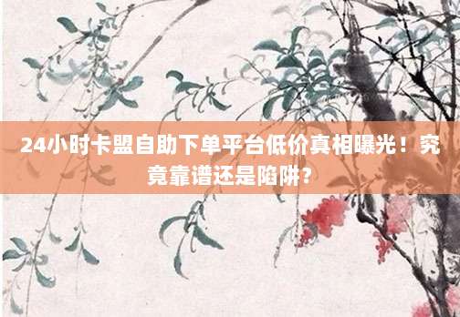 24小时卡盟自助下单平台低价真相曝光！究竟靠谱还是陷阱？