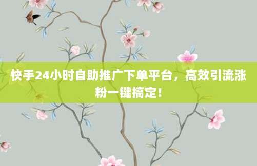 快手24小时自助推广下单平台,高效引流涨粉一键搞定!