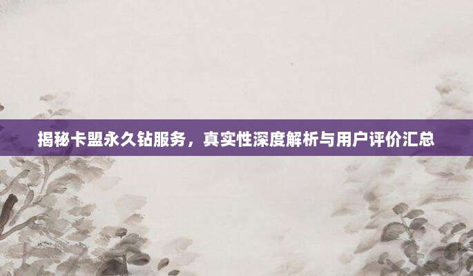 揭秘卡盟永久钻服务,真实性深度解析与用户评价汇总