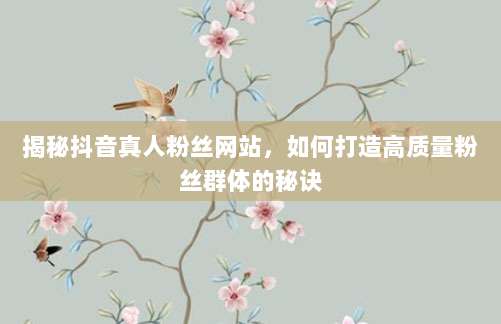 揭秘抖音真人粉丝网站,如何打造高质量粉丝群体的秘诀