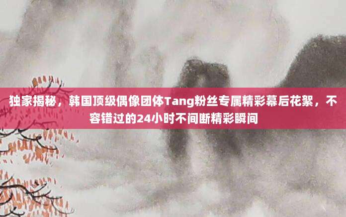 独家揭秘,韩国顶级偶像团体Tang粉丝专属精彩幕后花絮,不容错过的24小时不间断精彩瞬间