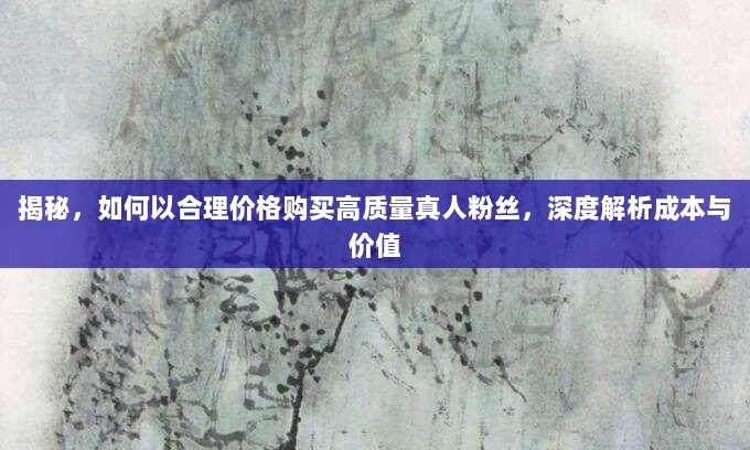 揭秘,如何以合理价格购买高质量真人粉丝,深度解析成本与价值