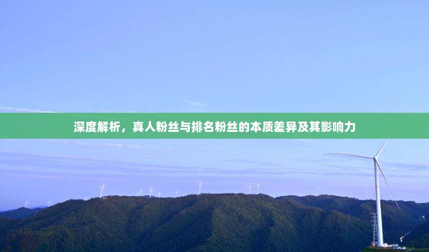 深度解析,真人粉丝与排名粉丝的本质差异及其影响力