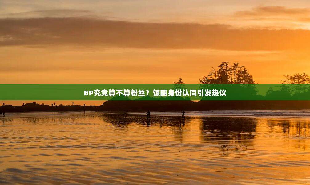 BP究竟算不算粉丝?饭圈身份认同引发热议