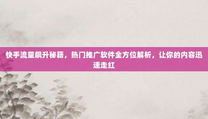 快手流量飙升秘籍,热门推广软件全方位解析,让你的内容迅速走红