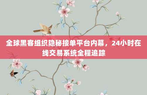 全球黑客组织隐秘接单平台内幕，24小时在线交易系统全程追踪