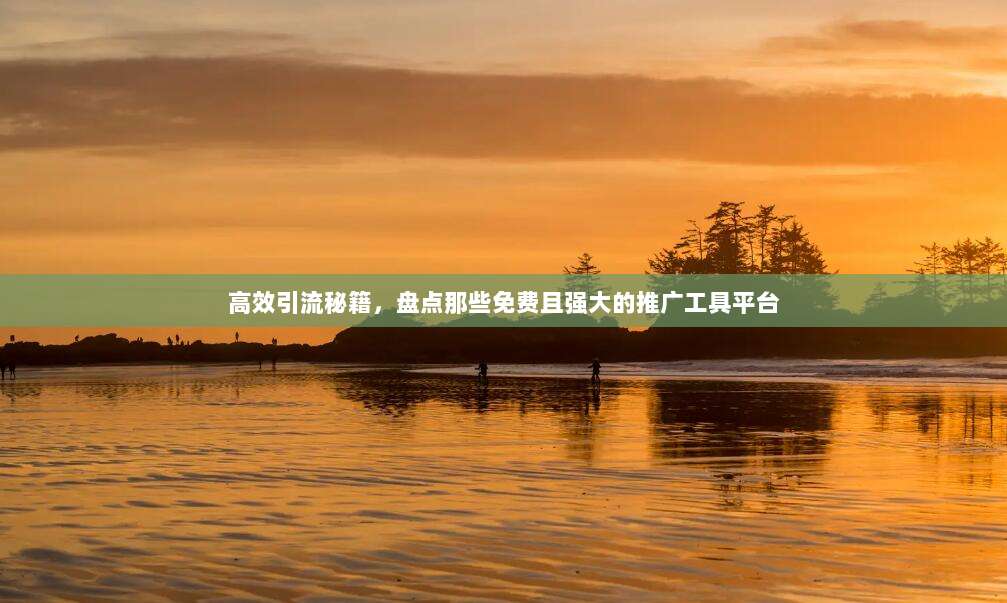 高效引流秘籍,盘点那些免费且强大的推广工具平台