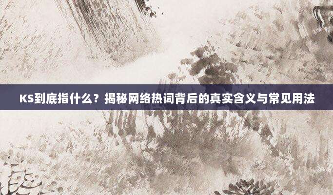 KS到底指什么？揭秘网络热词背后的真实含义与常见用法