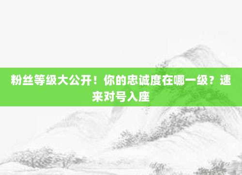 粉丝等级大公开!你的忠诚度在哪一级?速来对号入座