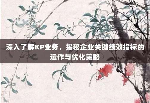 深入了解KP业务,揭秘企业关键绩效指标的运作与优化策略