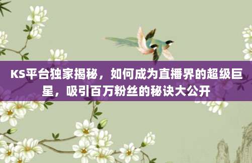 KS平台独家揭秘,如何成为直播界的超级巨星,吸引百万粉丝的秘诀大公开