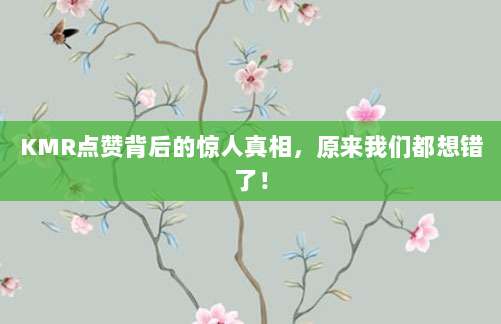 KMR点赞背后的惊人真相,原来我们都想错了!