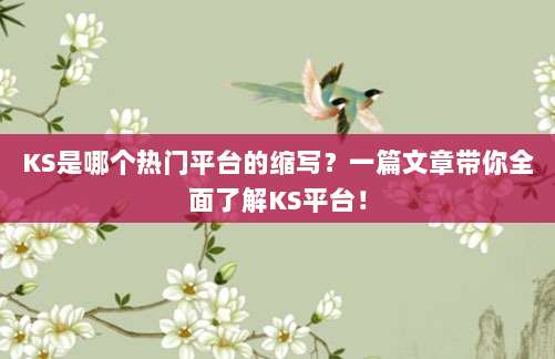 KS是哪个热门平台的缩写?一篇文章带你全面了解KS平台!