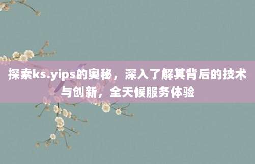 探索ks.yips的奥秘，深入了解其背后的技术与创新，全天候服务体验