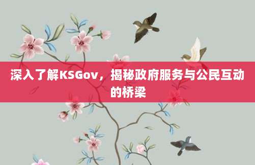 深入了解KSGov,揭秘政府服务与公民互动的桥梁