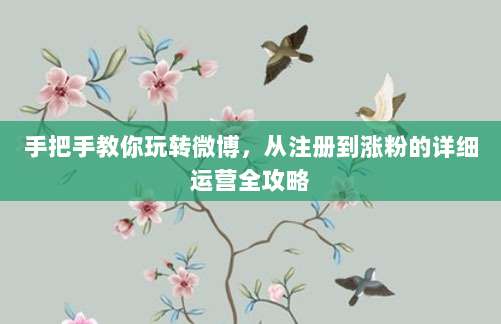 手把手教你玩转微博,从注册到涨粉的详细运营全攻略