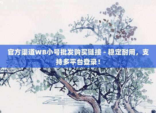 官方渠道WB小号批发购买链接 - 稳定耐用,支持多平台登录!