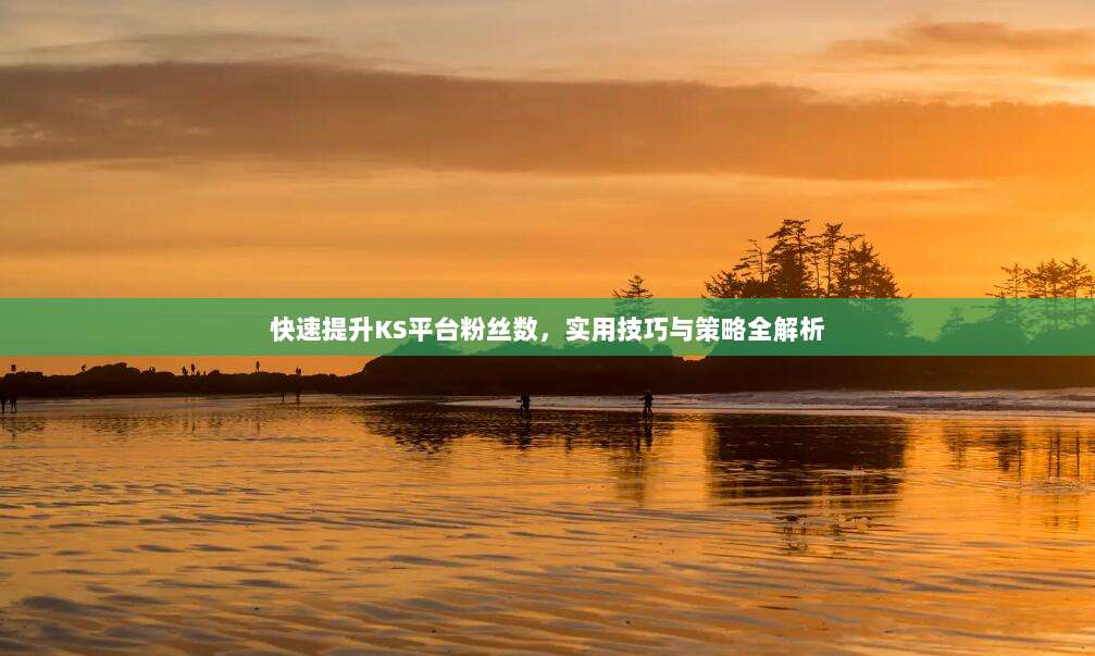 快速提升KS平台粉丝数,实用技巧与策略全解析