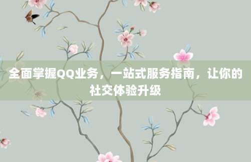 全面掌握QQ业务,一站式服务指南,让你的社交体验升级