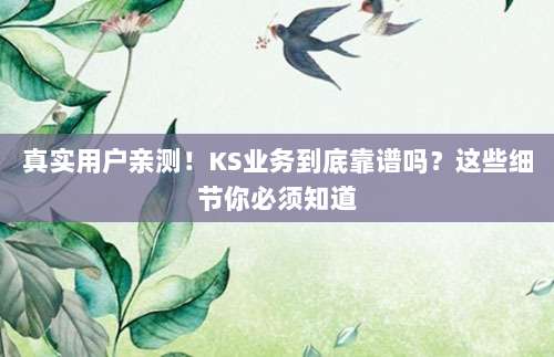 真实用户亲测!KS业务到底靠谱吗?这些细节你必须知道