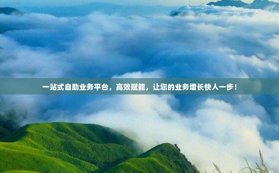 一站式自助业务平台,高效赋能,让您的业务增长快人一步!