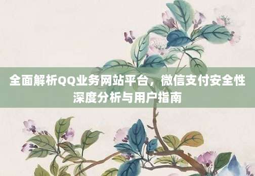 全面解析QQ业务网站平台，微信支付安全性深度分析与用户指南