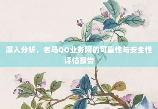 深入分析,老马QQ业务网的可靠性与安全性评估报告