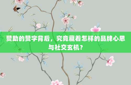 赞助的赞字背后,究竟藏着怎样的品牌心思与社交玄机?
