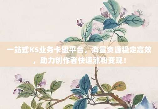 一站式KS业务卡盟平台,海量资源稳定高效,助力创作者快速涨粉变现!