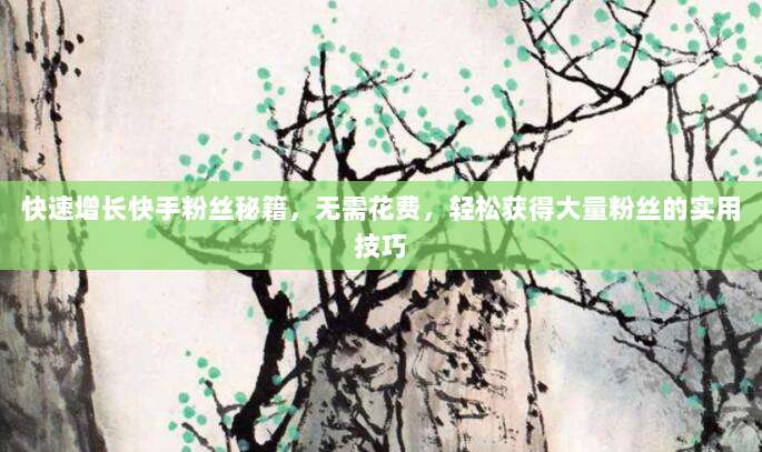 快速增长快手粉丝秘籍,无需花费,轻松获得大量粉丝的实用技巧