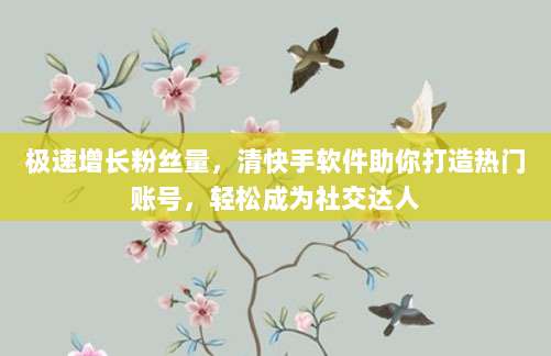 极速增长粉丝量,清快手软件助你打造热门账号,轻松成为社交达人