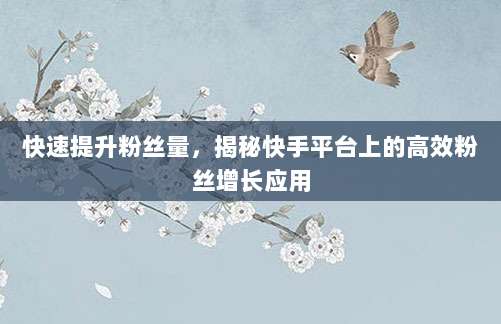 快速提升粉丝量,揭秘快手平台上的高效粉丝增长应用