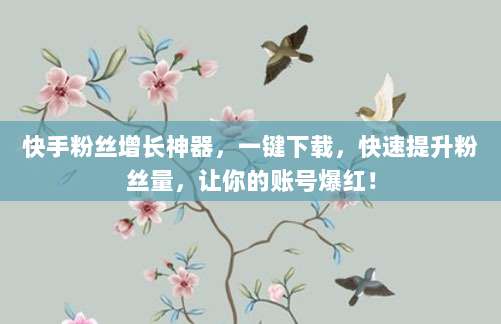 快手粉丝增长神器,一键下载,快速提升粉丝量,让你的账号爆红!