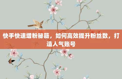 快手快速增粉秘籍,如何高效提升粉丝数,打造人气账号