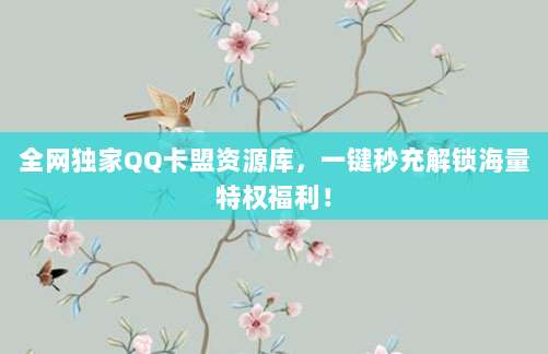 全网独家QQ卡盟资源库,一键秒充解锁海量特权福利!