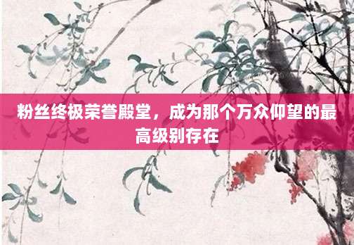 粉丝终极荣誉殿堂，成为那个万众仰望的最高级别存在